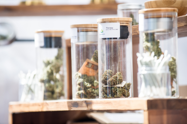 CannaTrade